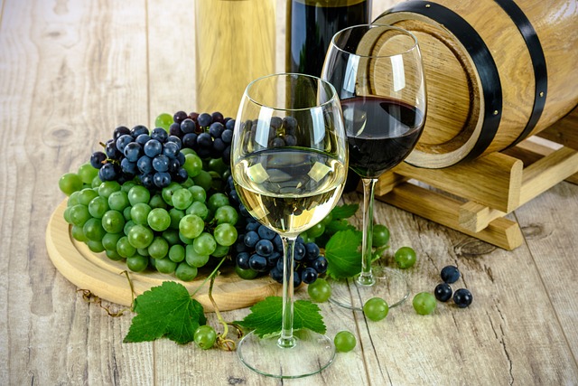 The Perfect Pair: Red Wine without Food